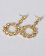 Load image into Gallery viewer, Stylish Ring Design Crystal Studded Drop Earrings
