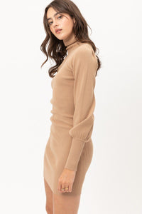 Turtle Neck Sweater Dress