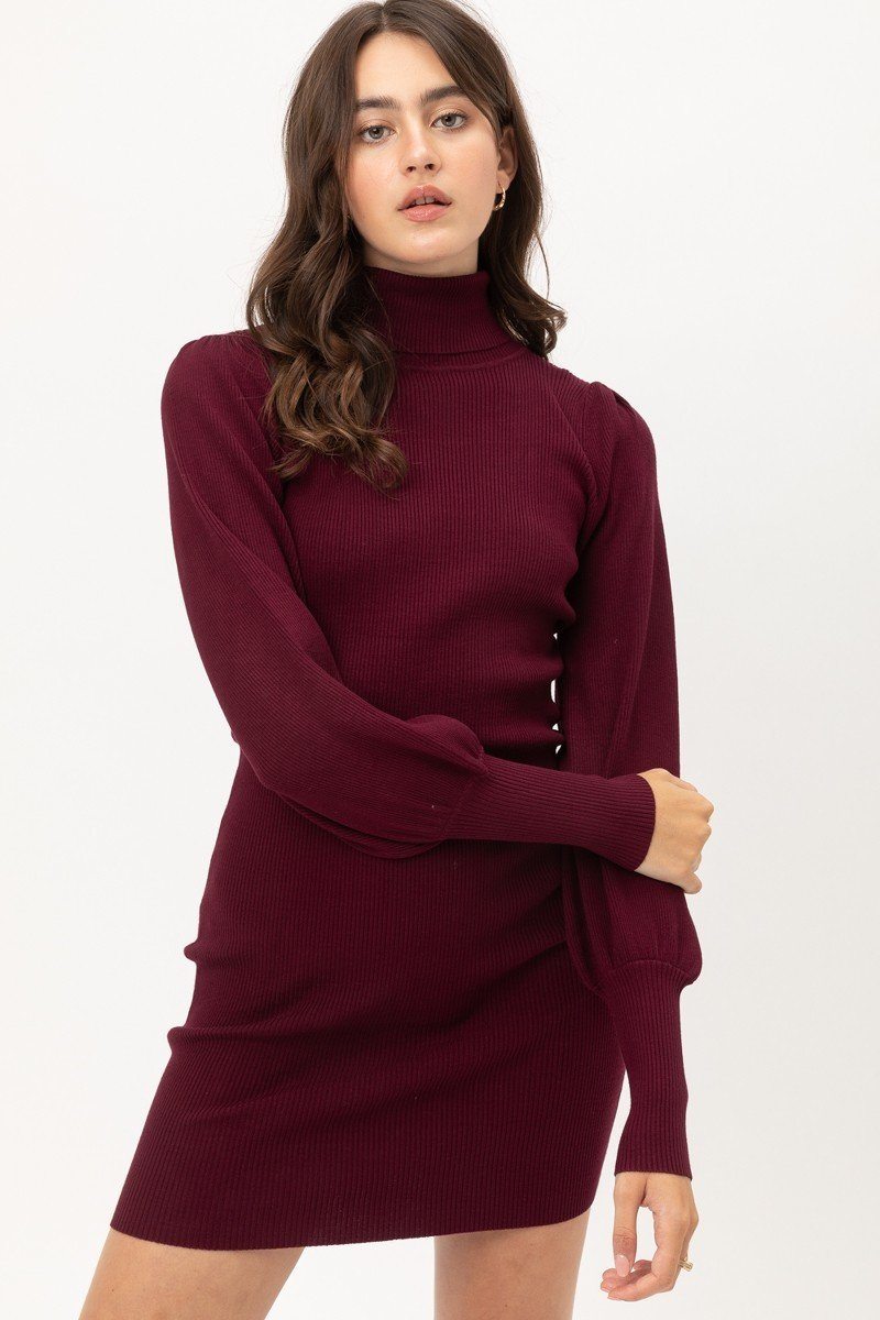 Turtle Neck Sweater Dress